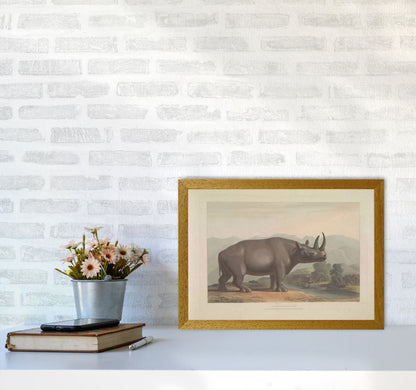 Vintage Rhino Illustration Art Print by Jason Stanley A3 Print Only