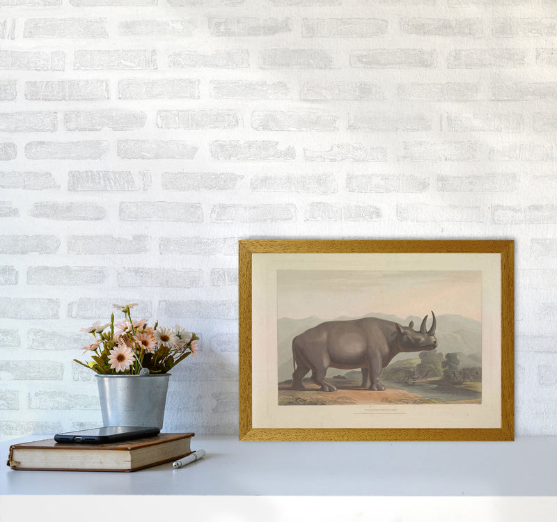 Vintage Rhino Illustration Art Print by Jason Stanley A3 Print Only