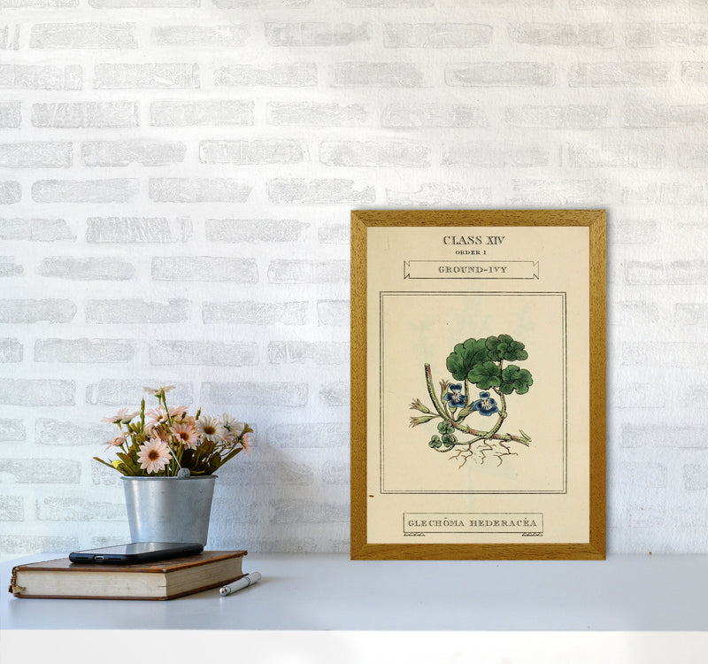Vintage Flower Series 8 Art Print by Jason Stanley A3 Print Only
