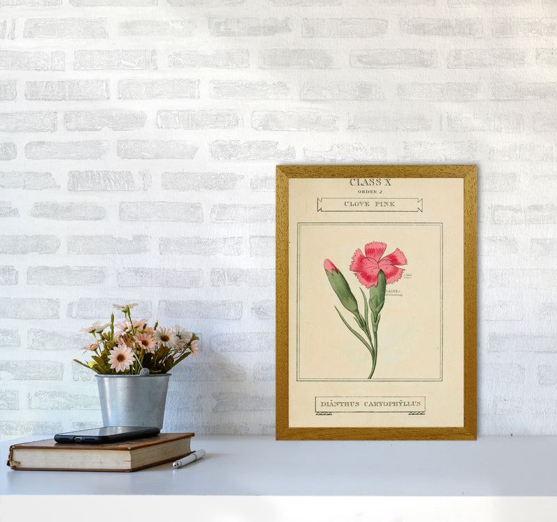 Vintage Flower Series 4 Art Print by Jason Stanley A3 Print Only