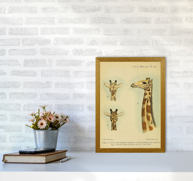 Longest Neck In The Jungle Art Print by Jason Stanley A3 Print Only