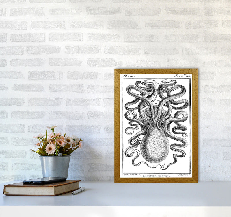 White Vintage Octopus Art Print by Jason Stanley A3 Print Only
