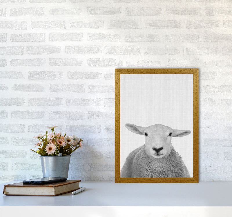 Trust This Wise Sheep Art Print by Jason Stanley A3 Print Only