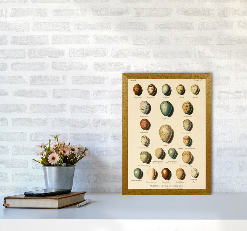 Vintage Set Of Eggs Art Print by Jason Stanley A3 Print Only