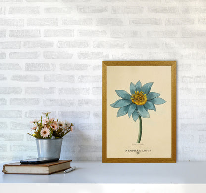 Vintage Lotus Flower Art Print by Jason Stanley A3 Print Only