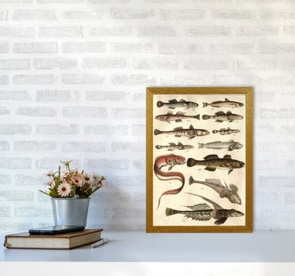 Creatures Of The Sea Art Print by Jason Stanley A3 Print Only