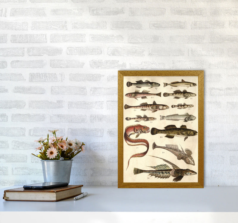 Creatures Of The Sea Art Print by Jason Stanley A3 Print Only