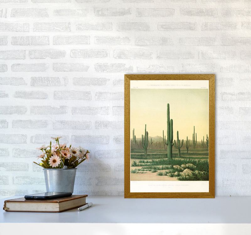 Vintage Desert Cactus Art Print by Jason Stanley A3 Print Only
