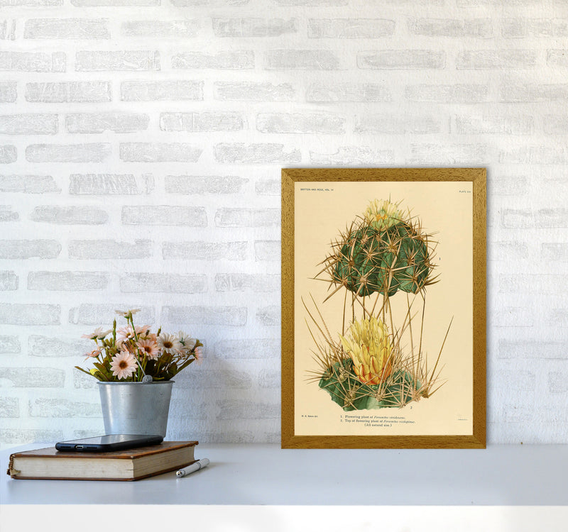 Cactus Series 10 Art Print by Jason Stanley A3 Print Only
