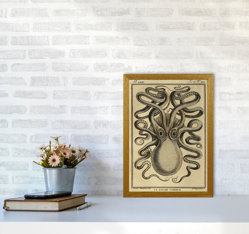 Vintage Octopus 2 Art Print by Jason Stanley A3 Print Only