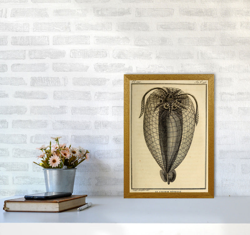 Vintage Squid 4 Art Print by Jason Stanley A3 Print Only