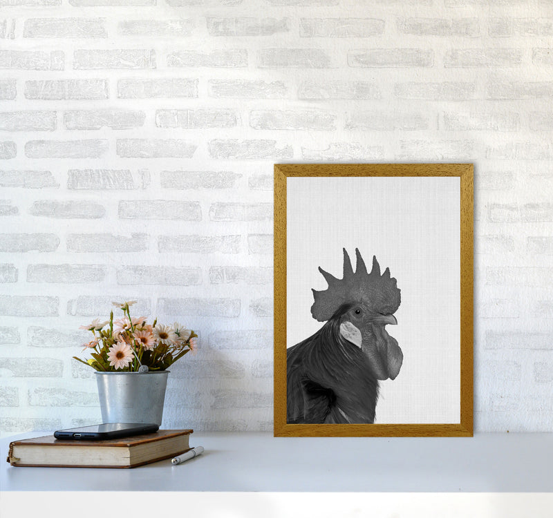 Cock A Doodle Doo Art Print by Jason Stanley A3 Print Only