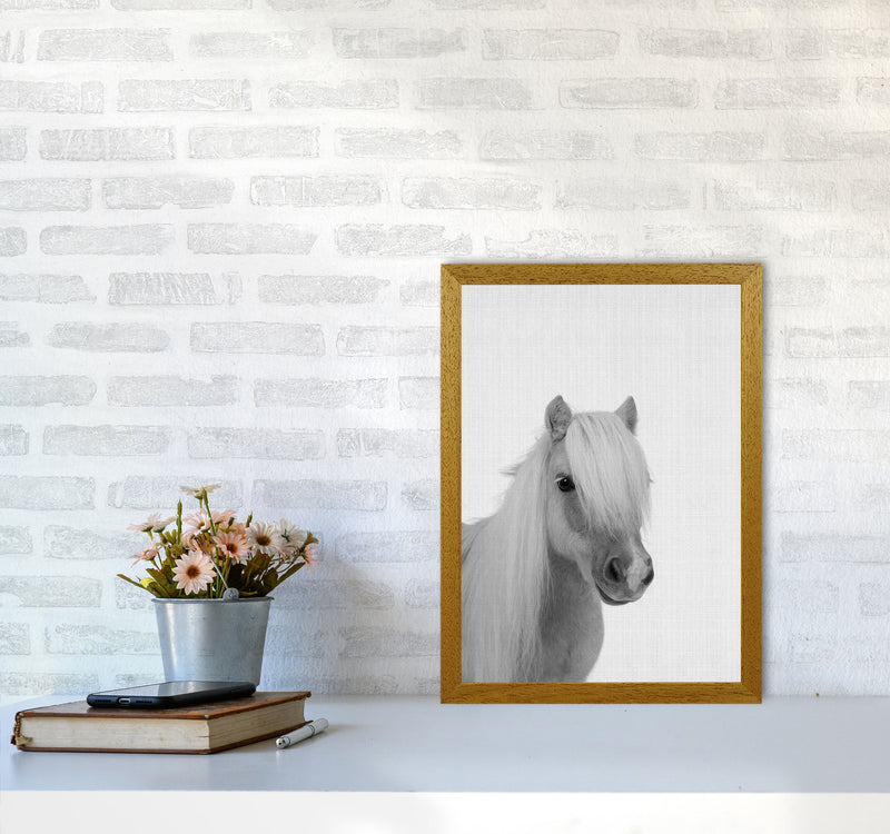 Stay Gold Pony Boy Art Print by Jason Stanley A3 Print Only