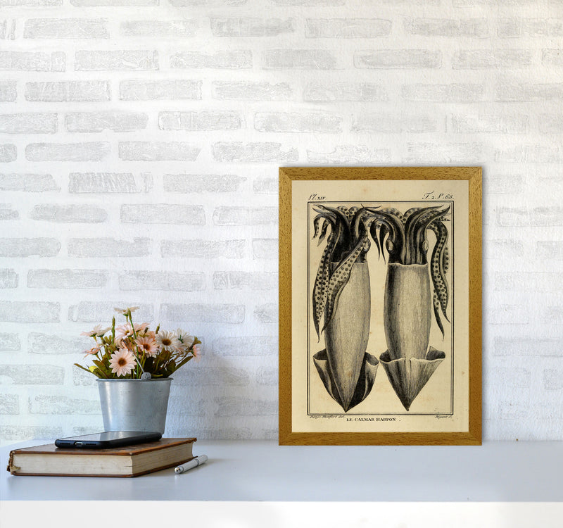 Vintage Squid 5 Art Print by Jason Stanley A3 Print Only