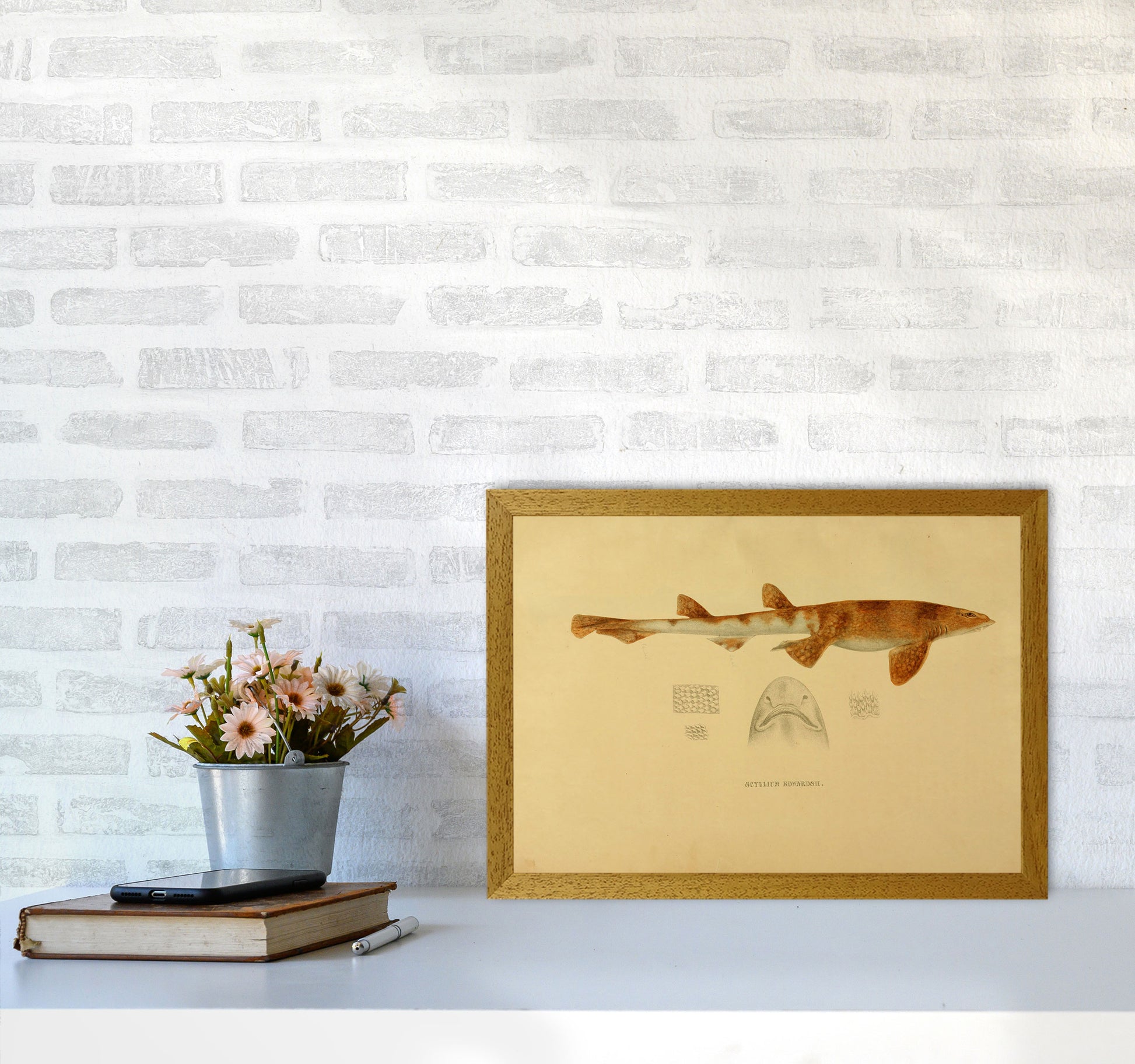 Shark Series 1 Art Print by Jason Stanley A3 Print Only