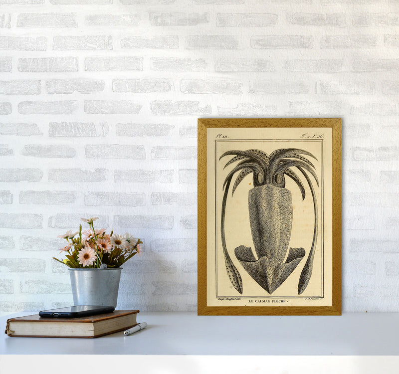 Vintage Squid 2 Art Print by Jason Stanley A3 Print Only