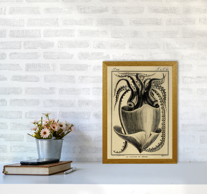 Vintage Squid Art Print by Jason Stanley A3 Print Only