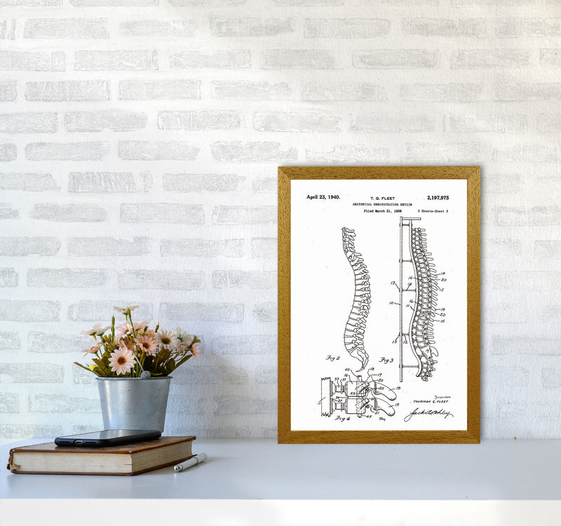 Anatomical Spine Display Patent Art Print by Jason Stanley A3 Print Only