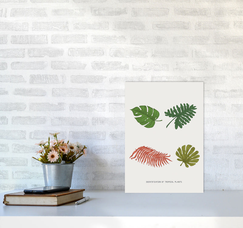 Identification Of Tropical Plants Art Print by Jason Stanley A3 Black Frame