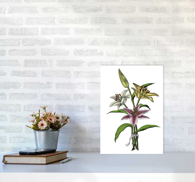 Vintage Lilly Illustration Art Print by Jason Stanley A3 Black Frame
