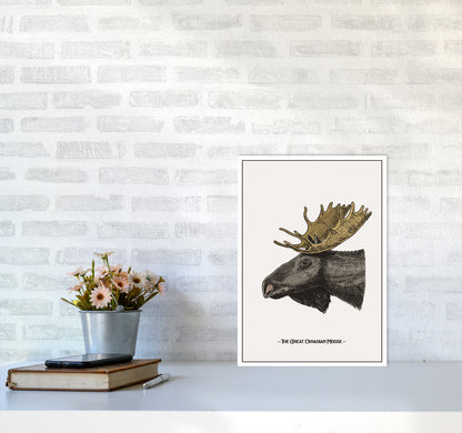 The Great Canadian Moose Art Print by Jason Stanley A3 Black Frame