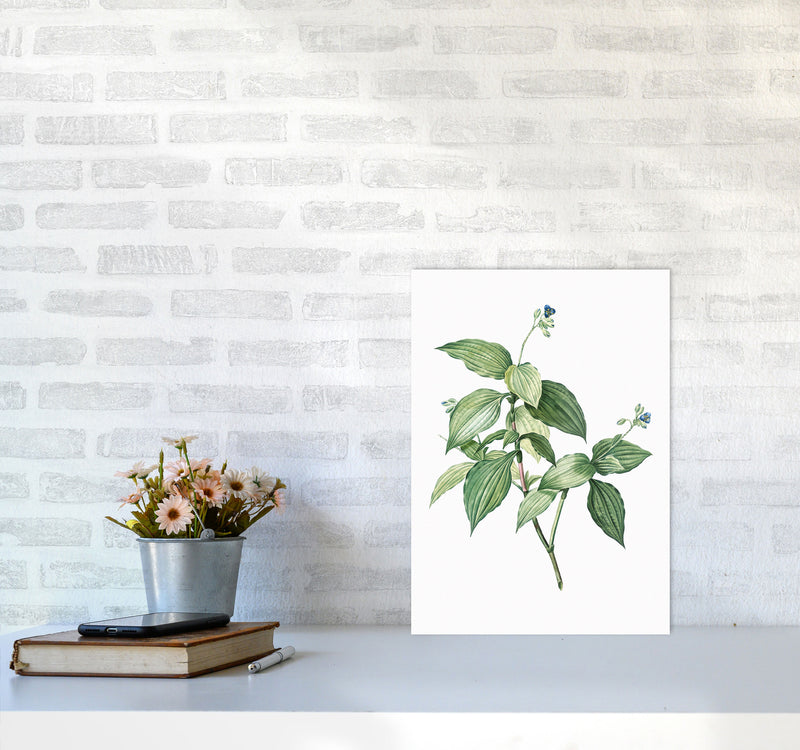 Vintage Botanical Plant Art Print by Jason Stanley A3 Black Frame