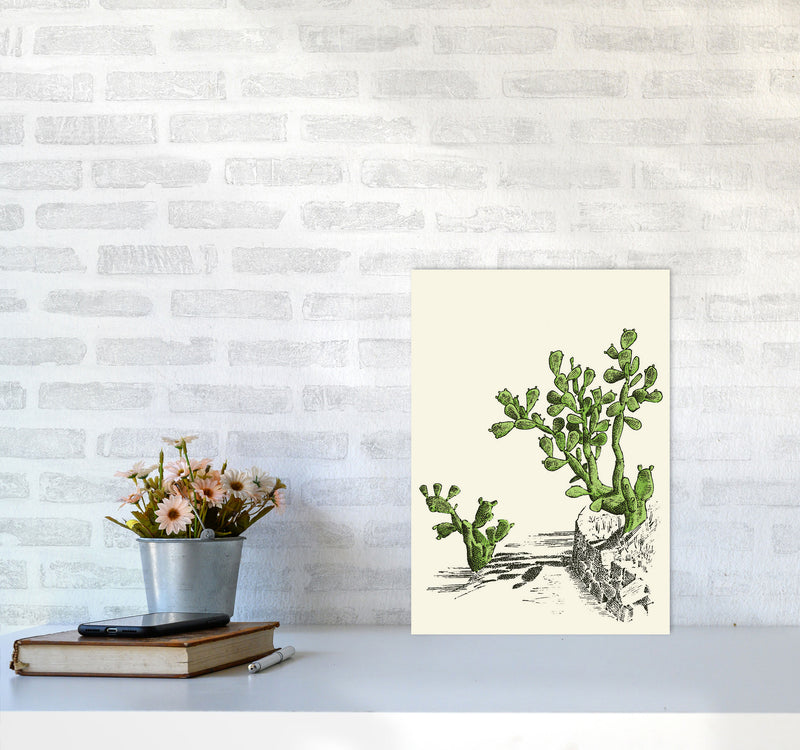 Prickly Pear Cactus Art Print by Jason Stanley A3 Black Frame