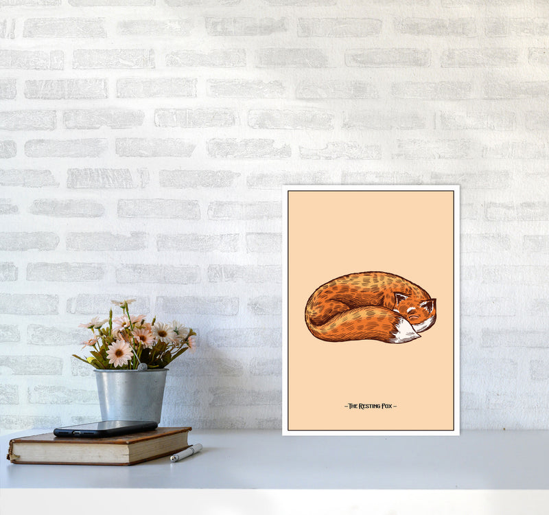 The Resting Fox Art Print by Jason Stanley A3 Black Frame