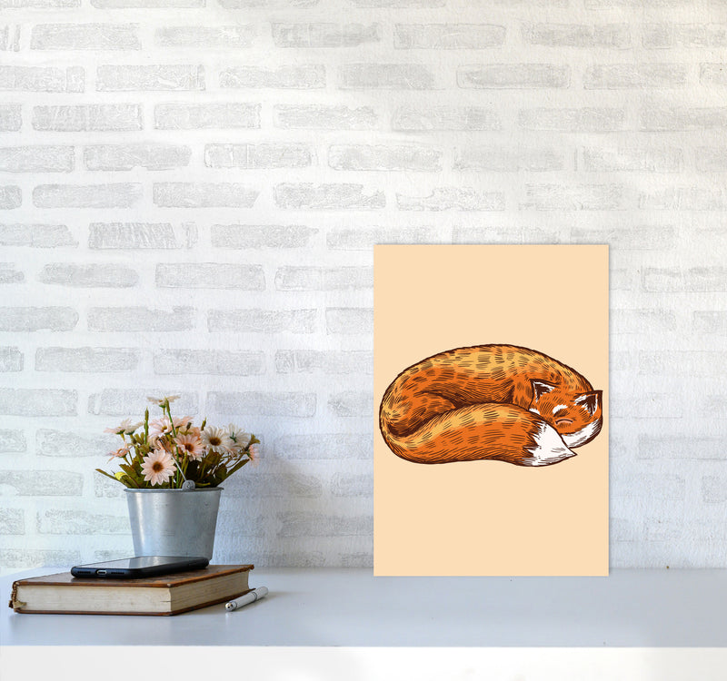 The Sleeping Fox Art Print by Jason Stanley A3 Black Frame