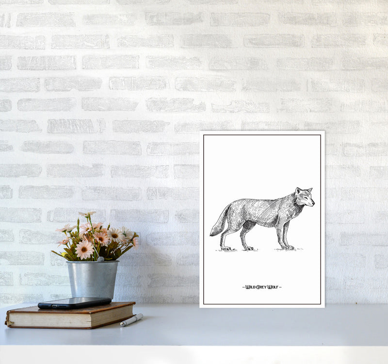Wild Grey Wolf Art Print by Jason Stanley A3 Black Frame