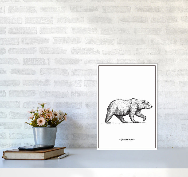 Grizzly Bear Art Print by Jason Stanley A3 Black Frame