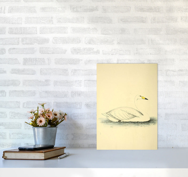 Vintage Swan Art Print by Jason Stanley A3 Black Frame