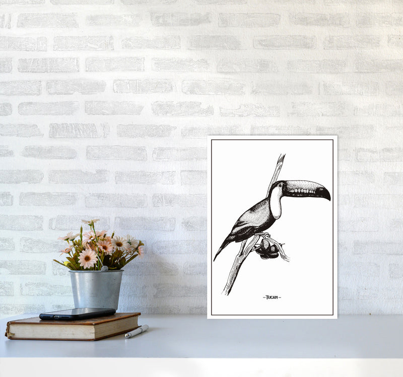 Tucan Art Print by Jason Stanley A3 Black Frame