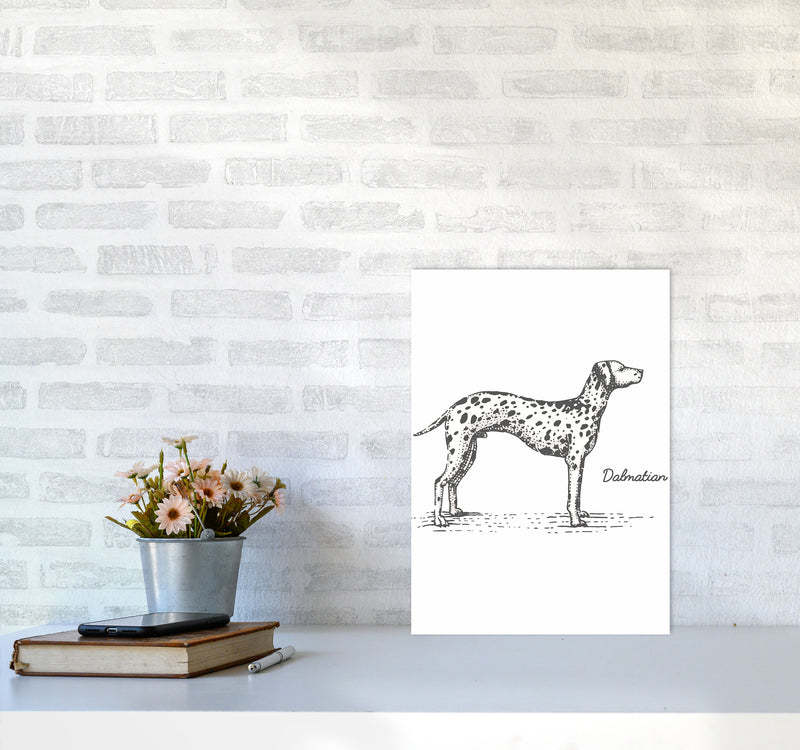 Dalmation Art Print by Jason Stanley A3 Black Frame