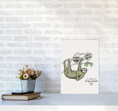 Sloth Art Print by Jason Stanley A3 Black Frame