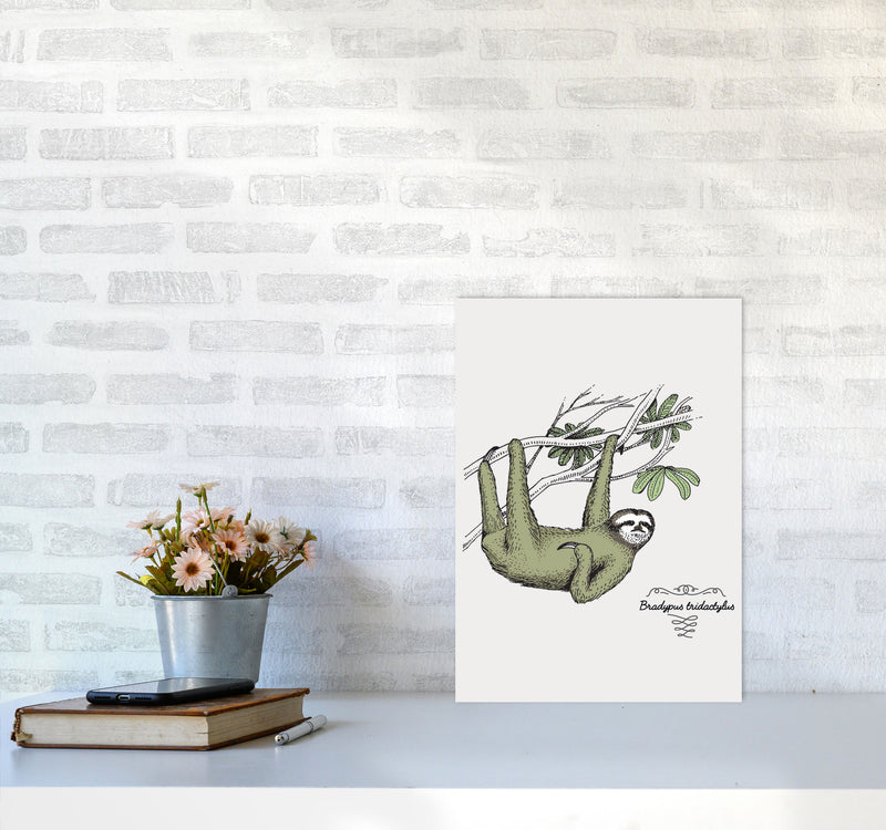 Sloth Art Print by Jason Stanley A3 Black Frame