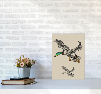 Flying Ducks Art Print by Jason Stanley A3 Black Frame