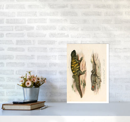Vintage Lizard Illustration Art Print by Jason Stanley A3 Black Frame