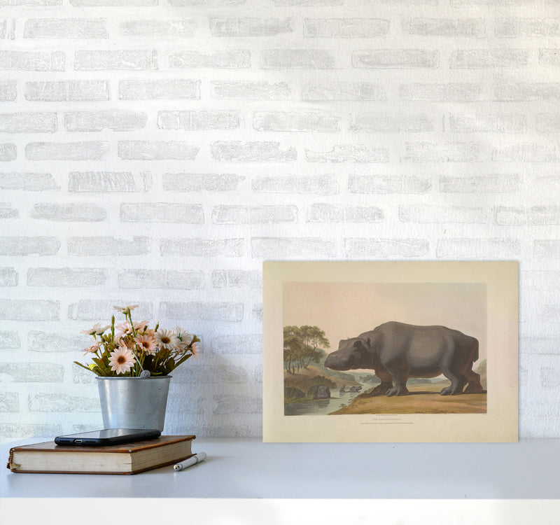 Vintage Hippo Illustration Art Print by Jason Stanley A3 Black Frame