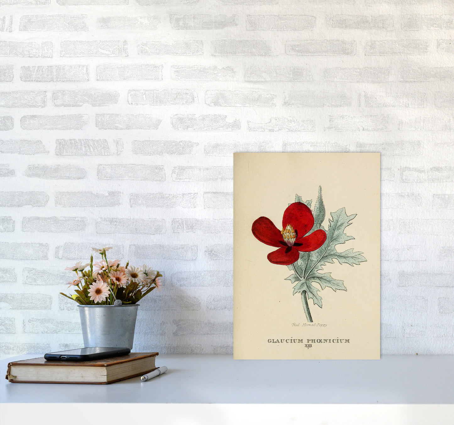 Vintage Flower Series 2 Art Print by Jason Stanley A3 Black Frame