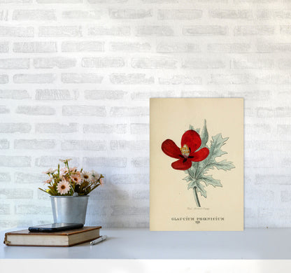 Vintage Flower Series 2 Art Print by Jason Stanley A3 Black Frame