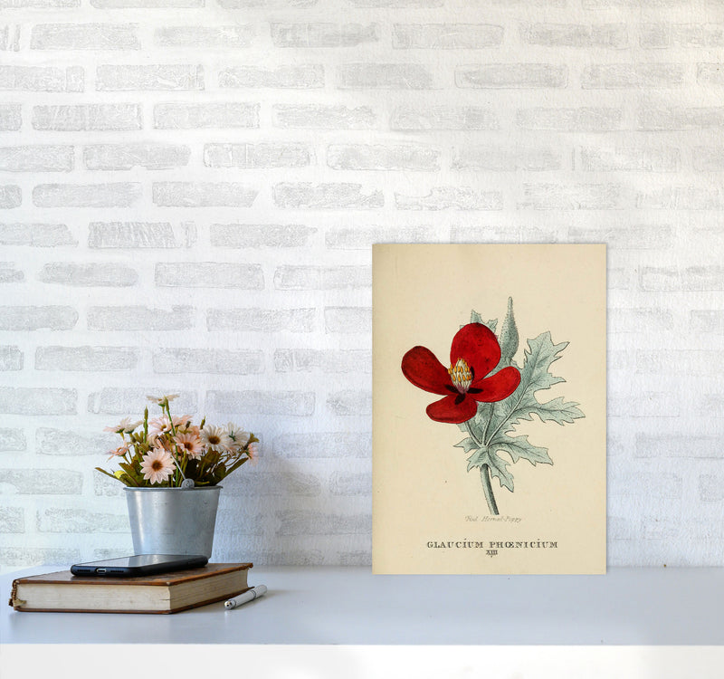 Vintage Flower Series 2 Art Print by Jason Stanley A3 Black Frame