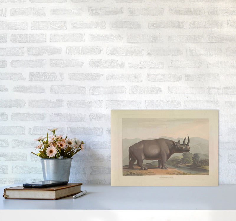 Vintage Rhino Illustration Art Print by Jason Stanley A3 Black Frame