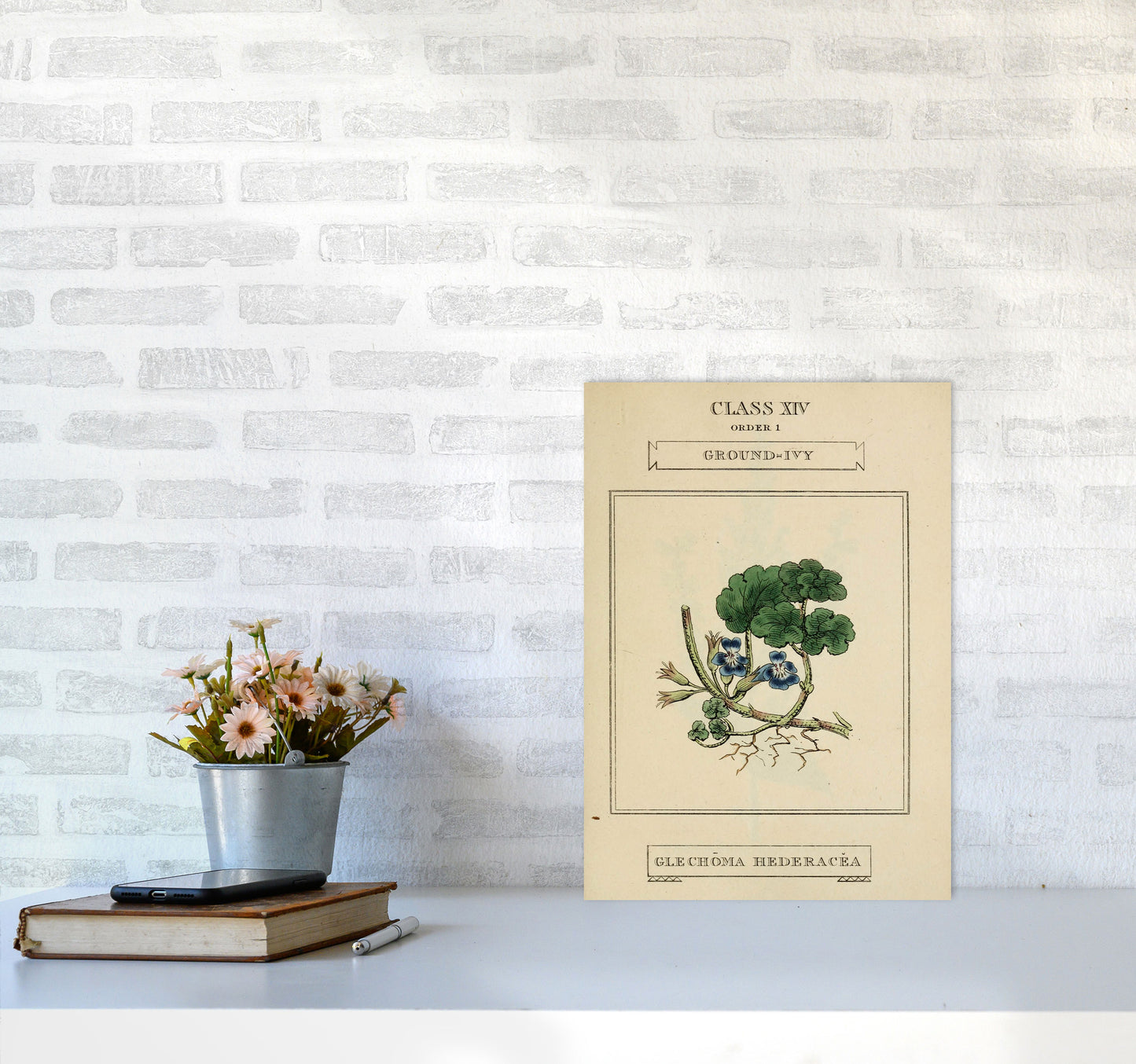 Vintage Flower Series 8 Art Print by Jason Stanley A3 Black Frame