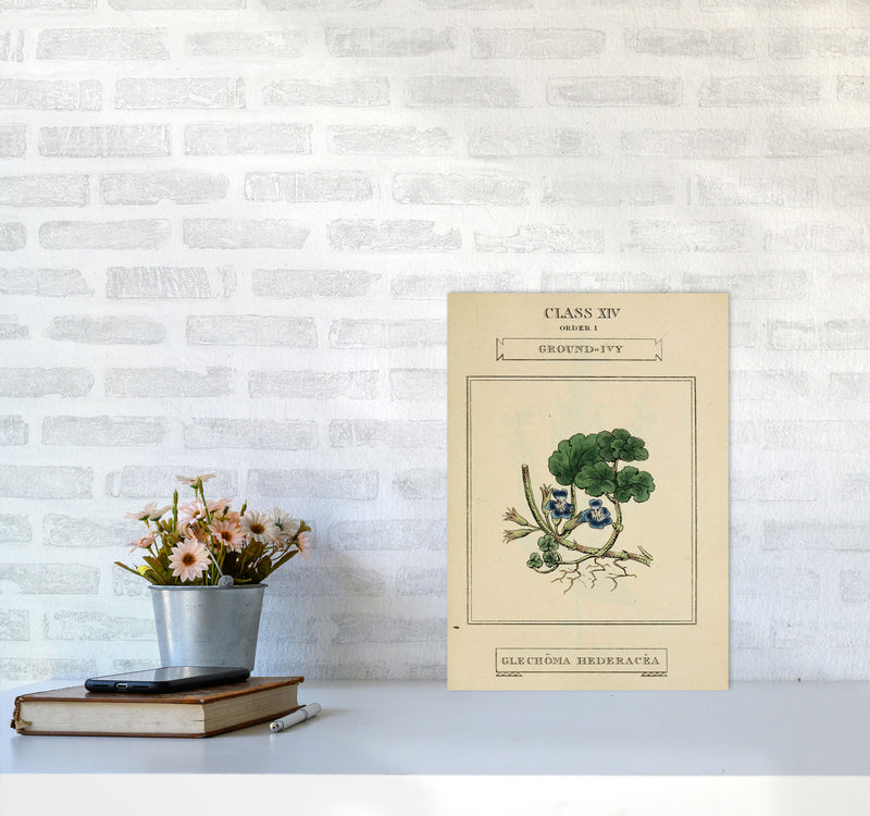 Vintage Flower Series 8 Art Print by Jason Stanley A3 Black Frame