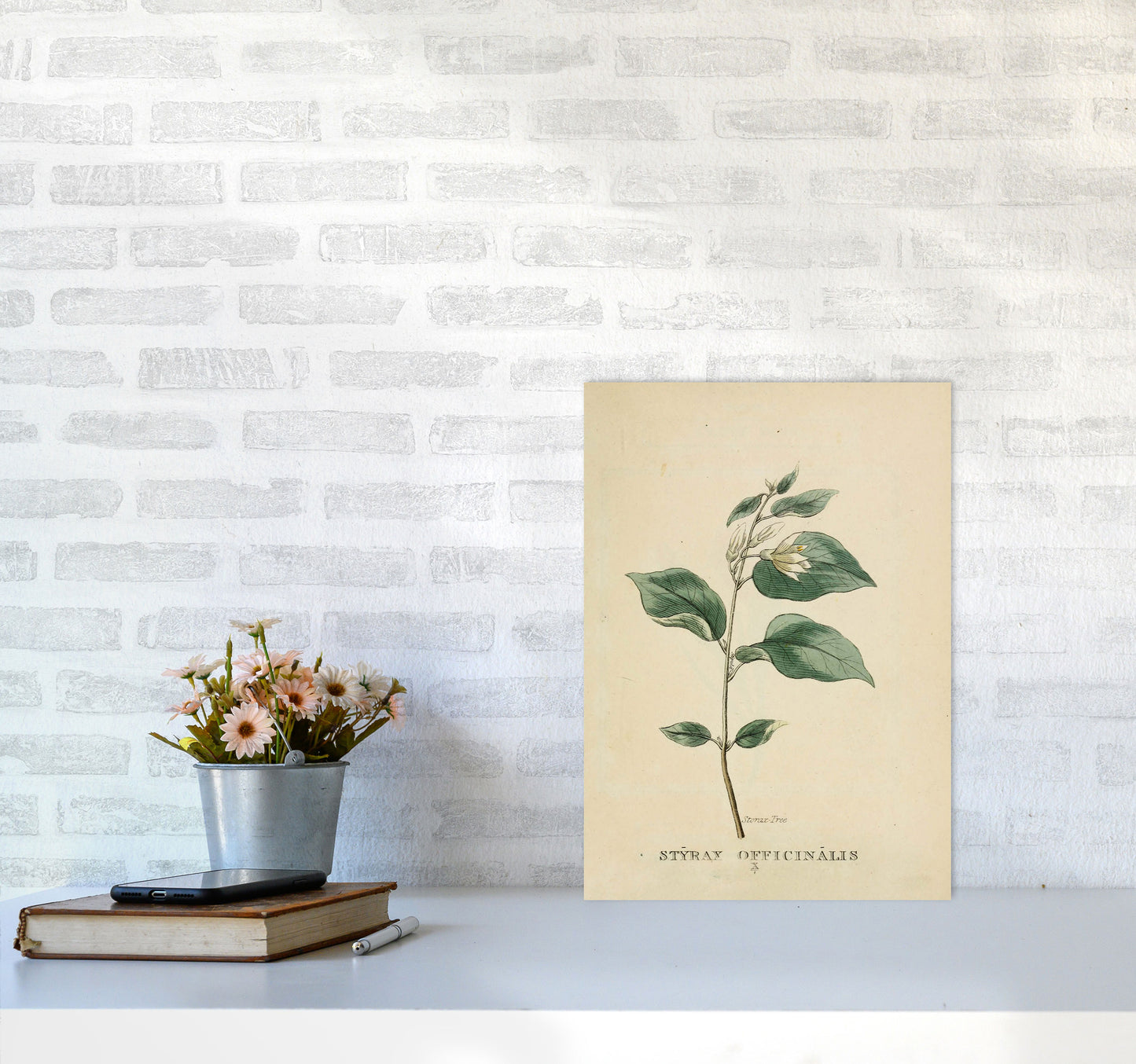 Vintage Flower Series 1 Art Print by Jason Stanley A3 Black Frame