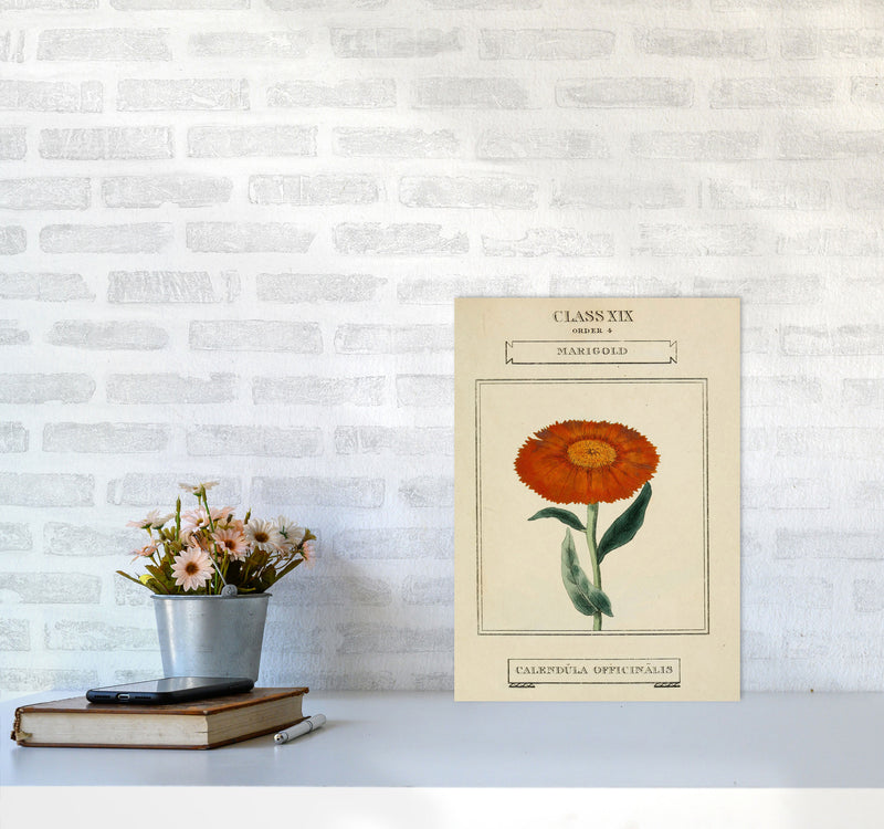 Vintage Flower Series 9 Art Print by Jason Stanley A3 Black Frame