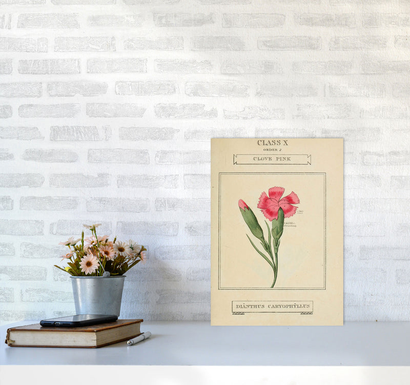 Vintage Flower Series 4 Art Print by Jason Stanley A3 Black Frame