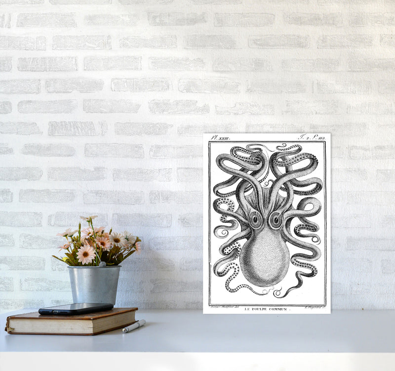 White Vintage Octopus Art Print by Jason Stanley A3 Black Frame