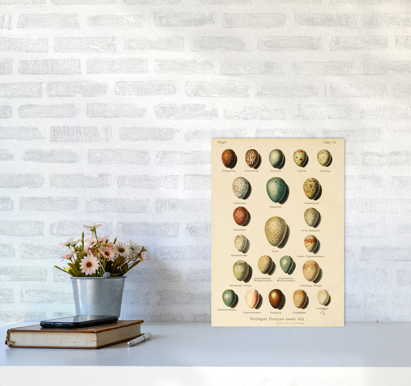 Vintage Set Of Eggs Art Print by Jason Stanley A3 Black Frame